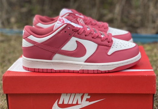 Nike Dunk Low Archeo Pink DD1503 111 36-46